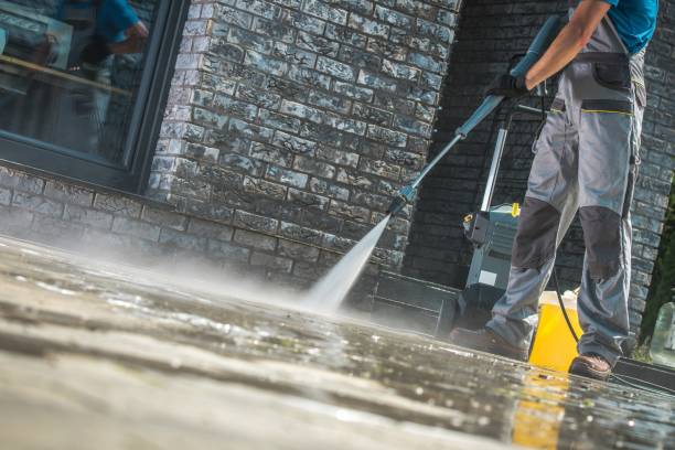 Best Warehouse Cleaning  in Carroll, IA
